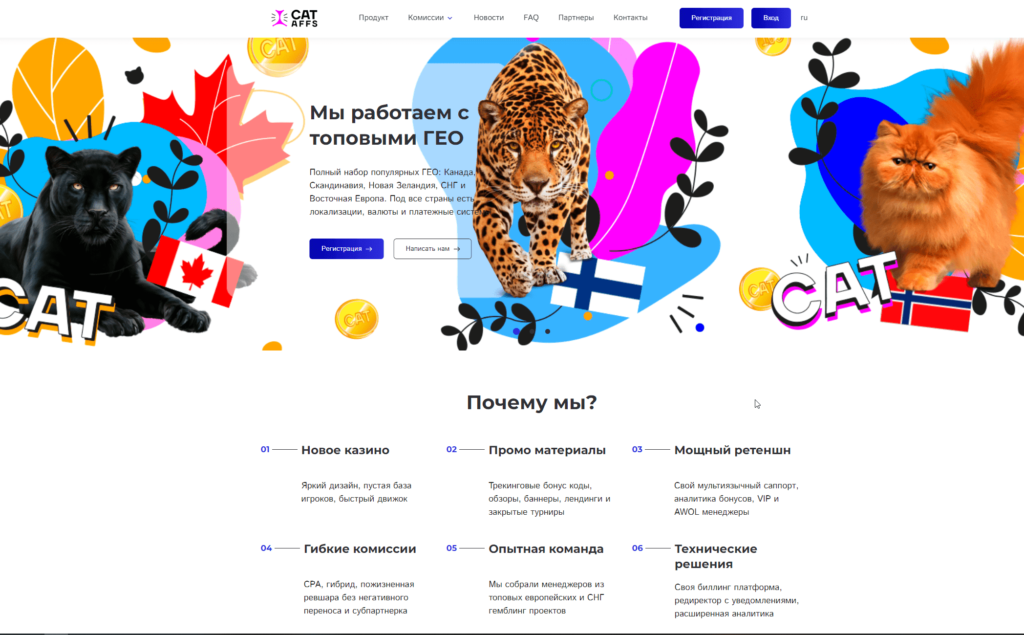 Партнерская программа Cat Casino